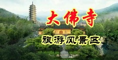 在线看拿大鸡巴操女生中国浙江-新昌大佛寺旅游风景区